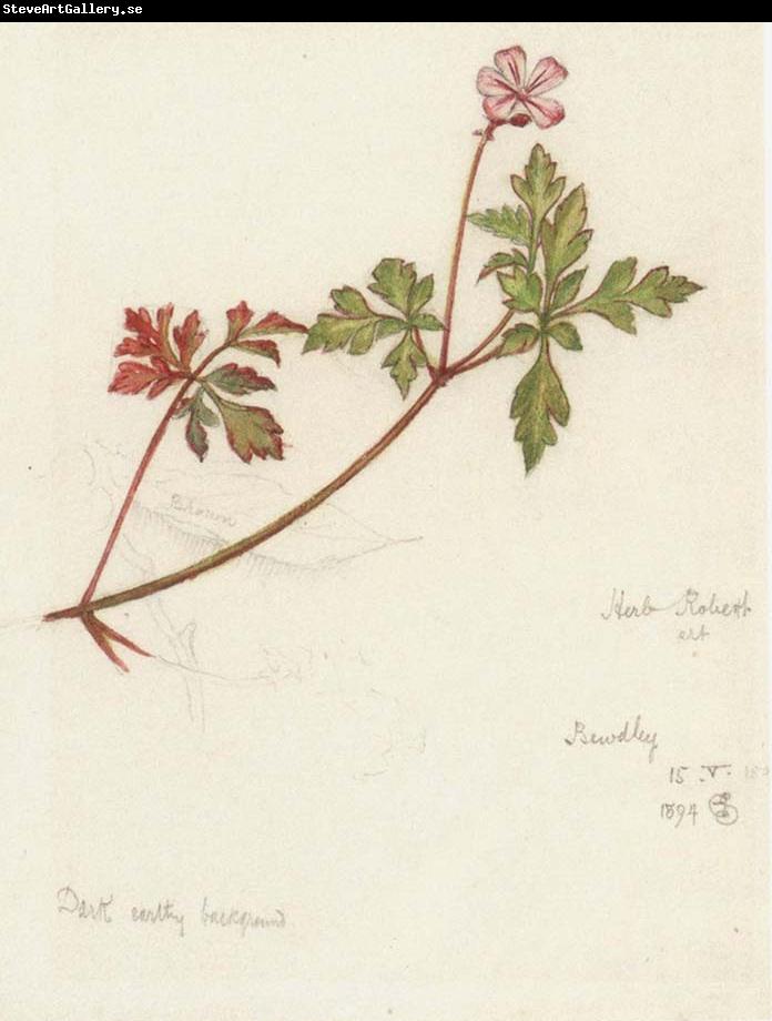 Joseph E.Southall Plant Study